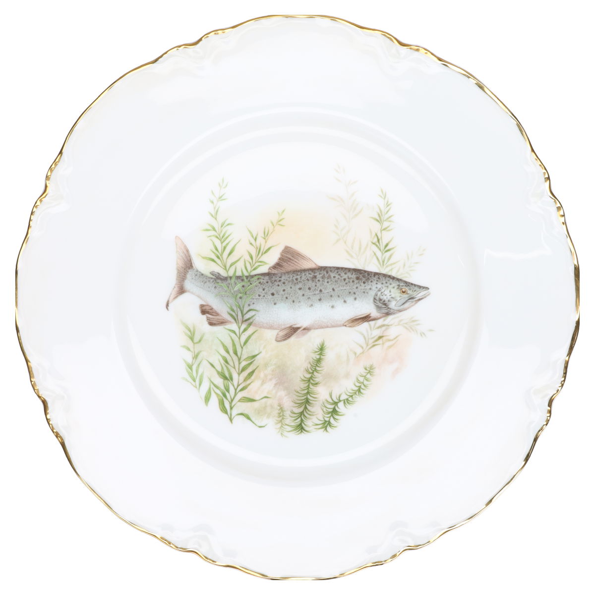 Speiseteller (Lachs)