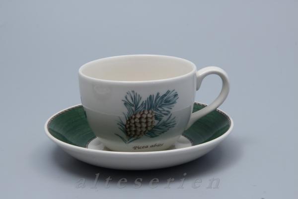 Kaffeetasse mit Untere Picea abies