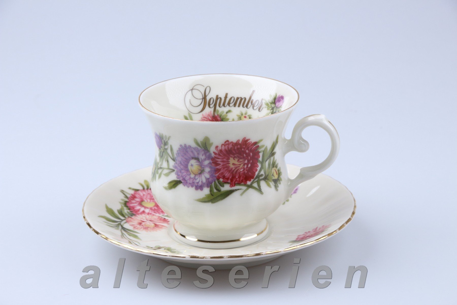 Kaffeetasse mit Untertasse  September Michaelmas Daisy