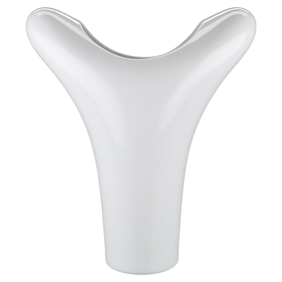 Glossy White & Black