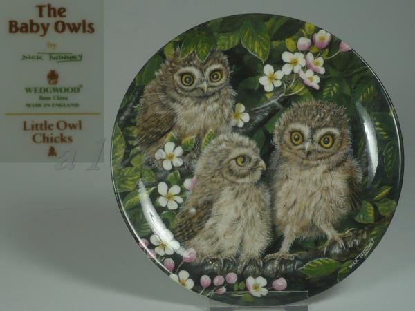 Sammlung: The Baby Owls - Little Owl Chicks D 17 cm