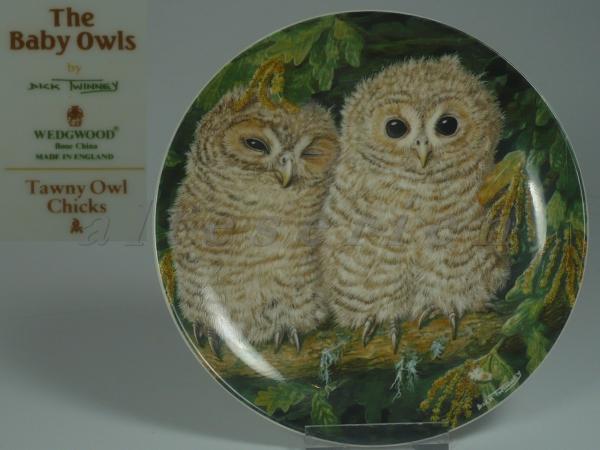 Sammlung: The Baby Owls - Tawny Owl Chicks D 17 cm