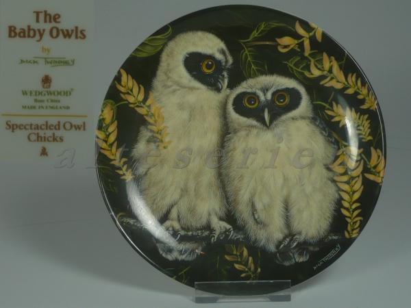 Sammlung: The Baby Owls - Spectacled Owl Chicks D17 cm