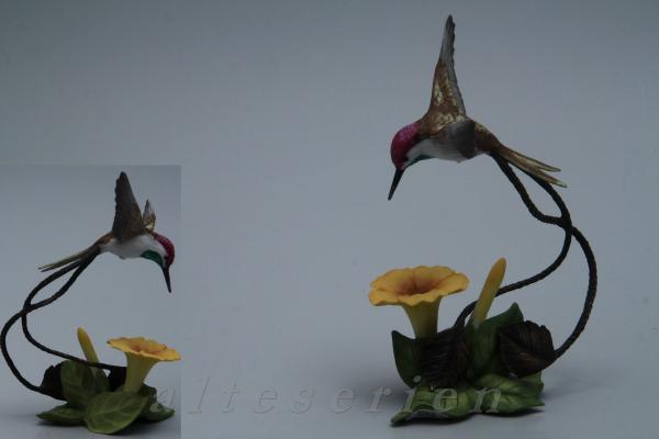 Kolibris + Blumen