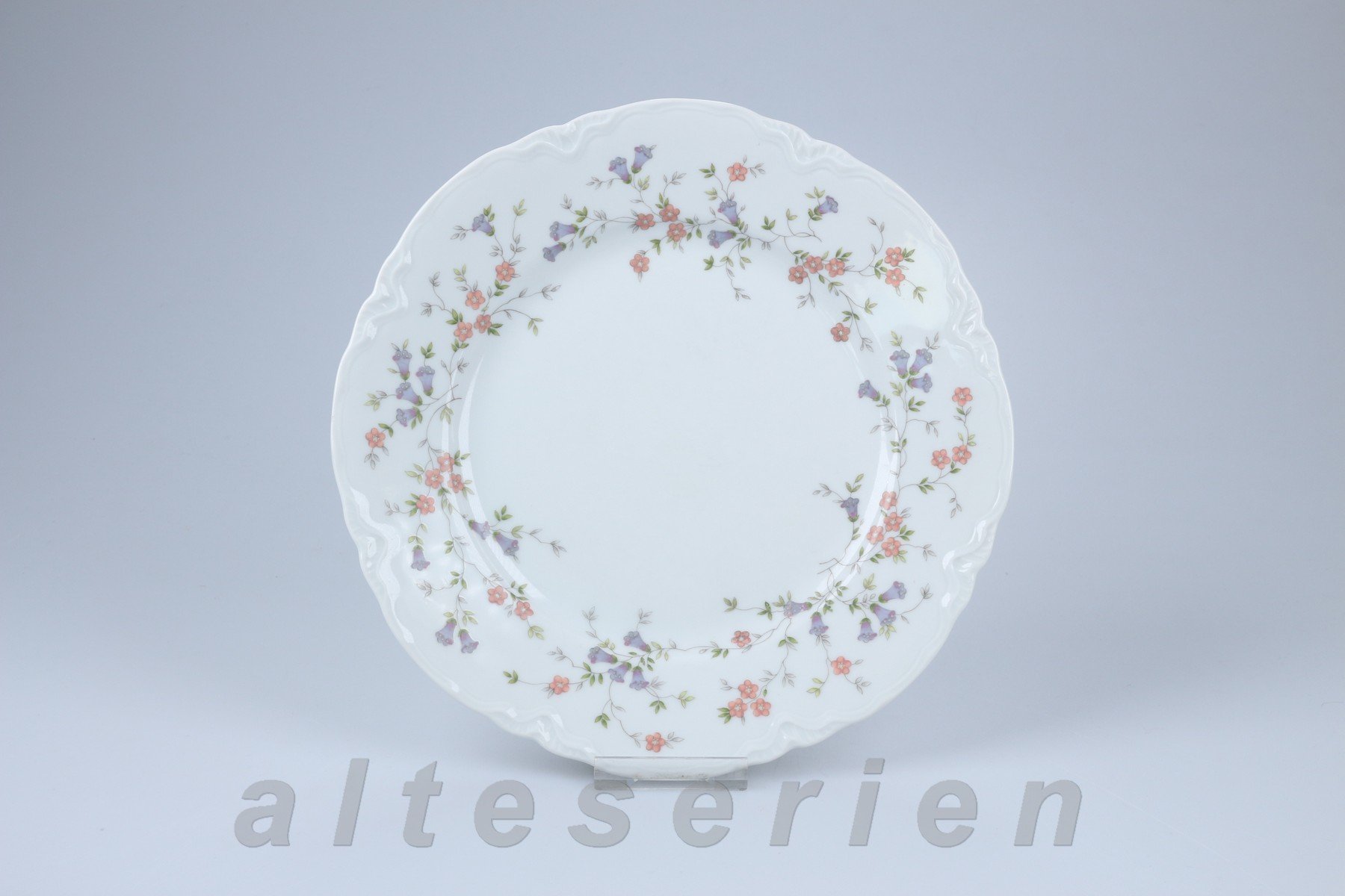 Speiseteller