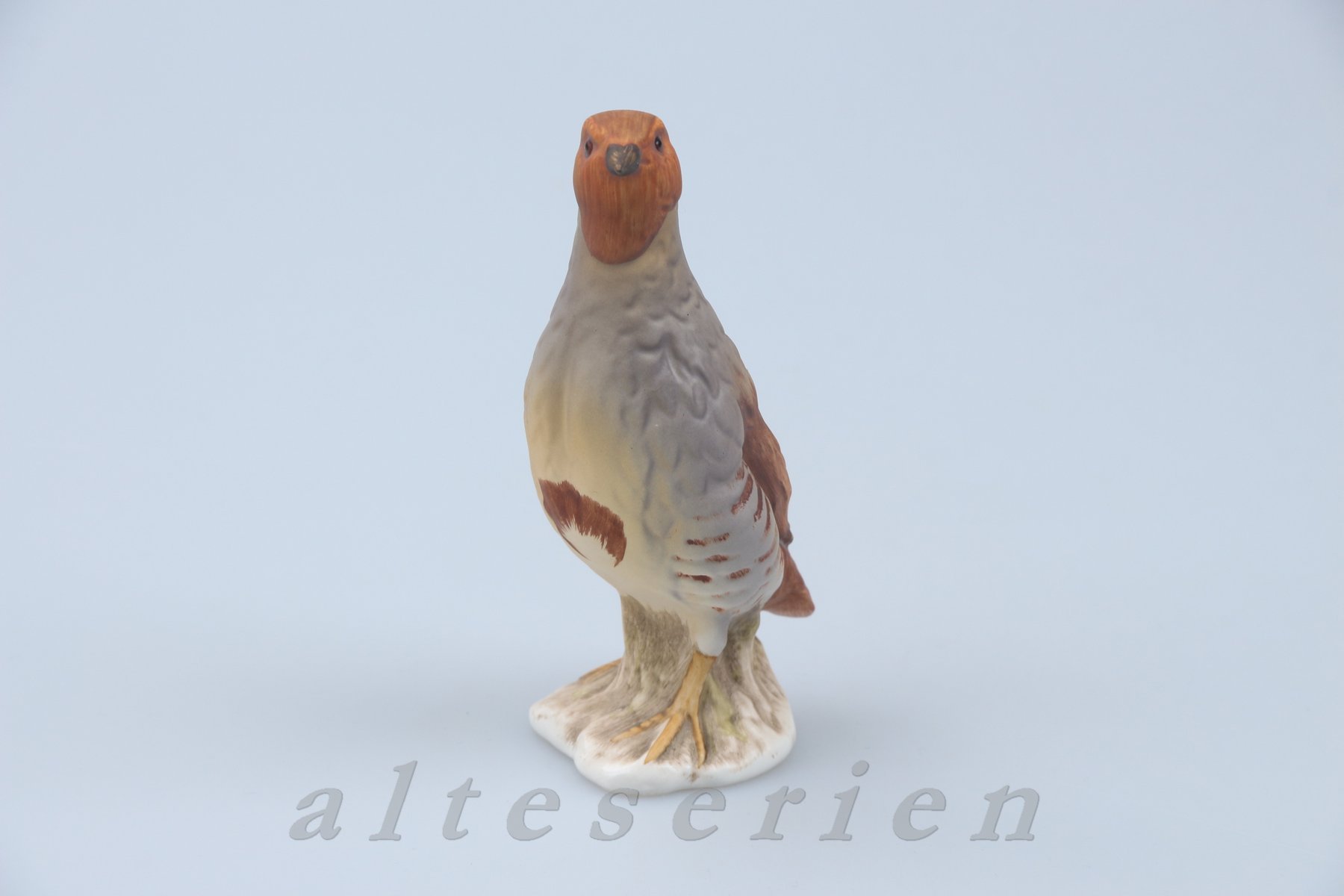 Rebhuhn 194 Jahresvogel 1991